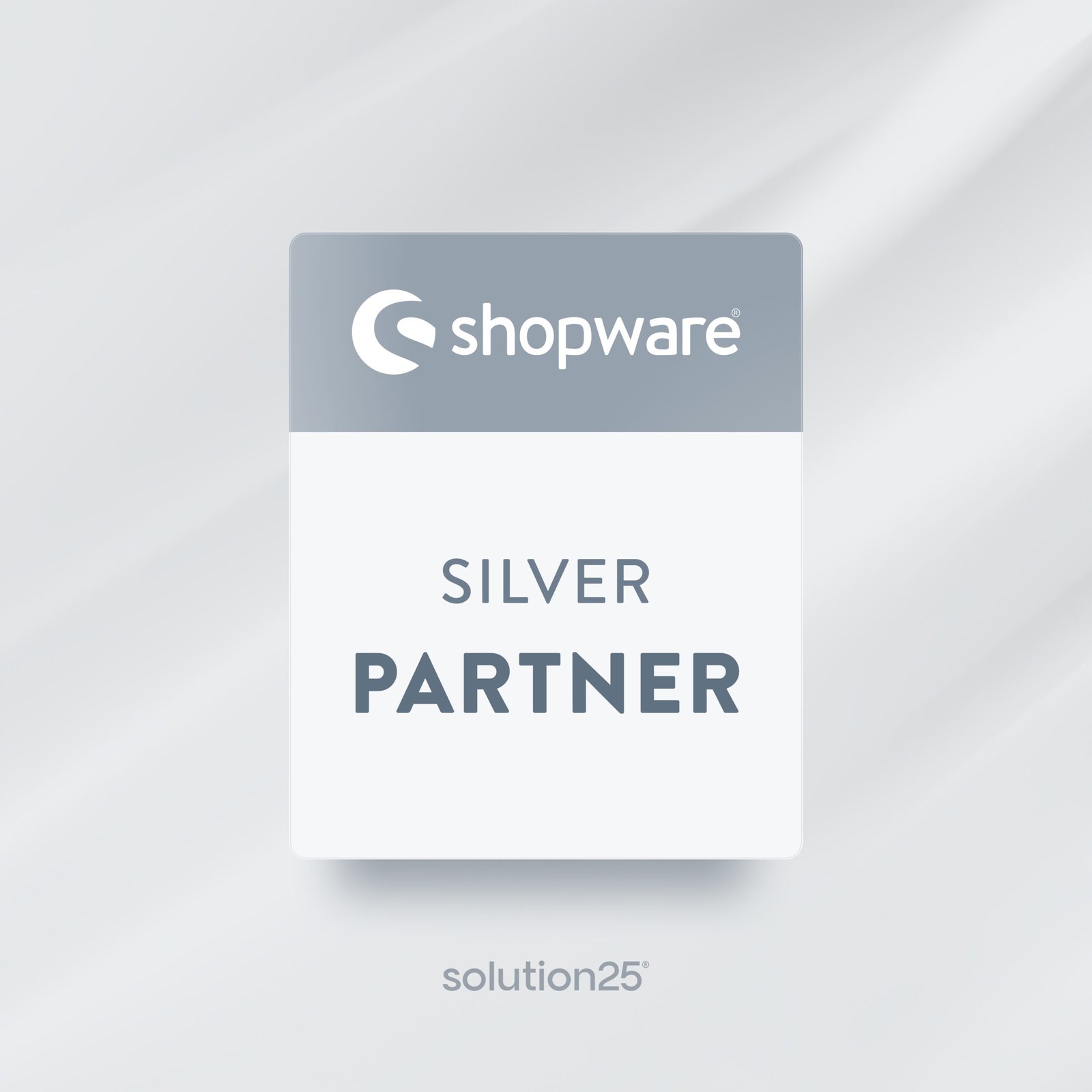 Silver partner solution scaled